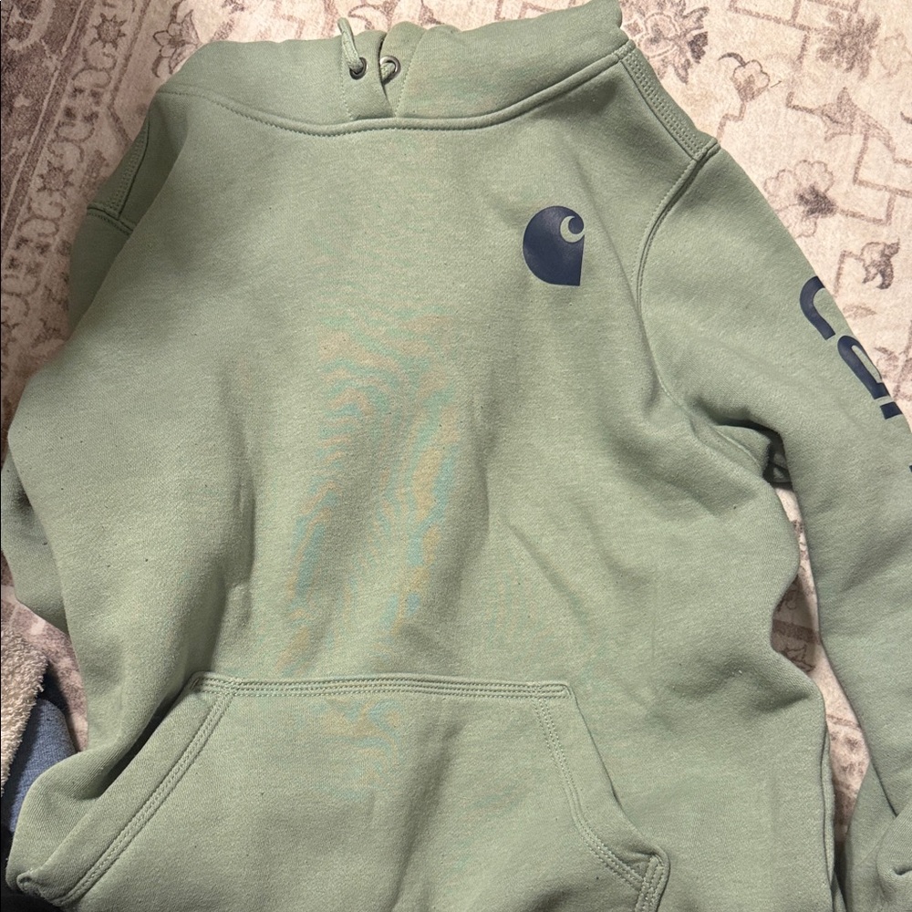 Carhartt hoodie, women’s size large.